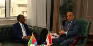 الكهرباء:
      دعم
      خطة
      التنمية
      المستدامة
      فى
      اريتريا
      وبرامج
      تدريبية
      لنقل
      الخبرات
      والدعم
      الفني