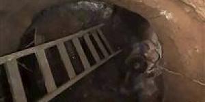 مصرع
      شخصين
      أثناء
      التنقيب
      عن
      الآثار
      بطامية..
      وانهيار
      حفرة
      على
      عمق
      15
      مترًا
      ينهي
      حياتهما