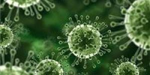 اختراق
      علمي
      جديد
      قد
      يوقف
      فيروسا
      يصيب
      95%
      من
      البشر