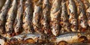 4
      أطعمة
      هامة
      تأثيرها
      يفوق
      كوب
      اللبن
      ...
      اغذية
      تعيد
      مصادر
      الكالسيوم