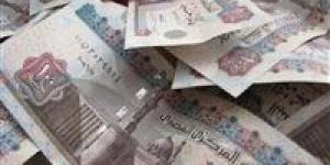 ارتفاع
      مخصصات
      تكافل
      وكرامة
      ودعم
      الاقتصاد
      في
      موازنة
      مصر
      الجديدة
      للعام
      المالي