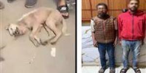 خوفا
      من
      مرضه..
      القبض
      على
      شقيقين
      تعديا
      على
      كلب
      حتى
      نفوقه
      بالشرقية