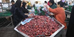 محافظ
المنيا:
محطة
تعبئة
فاكهة
«البيهو»
تنتج
40
طنًا
من
الفراولة
والعنب