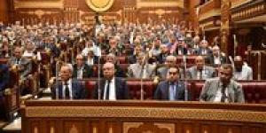 وكيل اقتصادية الشيوخ تطالب بمراجعة تسعير أسعار رحلات الطيران