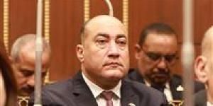 النائب
      عمرو
      رشاد:
      الرئيس
      السيسي
      وضع
      المصريين
      أمام
      حجم
      الإنجاز
      الحقيقي
      في
      مشروع
      الدلتا
      الجديدة