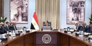 رئيس الوزراء يستعرض جهود تعزيز الربط والتبادل التجاري واللوجيستي مع الدول الإفريقية
