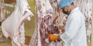 السماح لقصور الأفراح بتصريح مؤقت للذبح