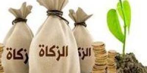 هل
      يجوز
      إخراج
      زكاة
      المال
      المتأخرة
      على
      أقساط؟..
      أمين
      الفتوى
      يجيب
