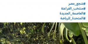 تامر
      حسني
      يحيي
      حفلا
      غنائيا
      باستاد
      القاهرة
      قبل
      مباراة
      مصر
      وروسيا