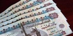 المعاش
      الإضافي
      في
      قانون
      التأمينات
      الجديد..
      الشروط
      وطريقة
      الحساب
      وفقًا
      للقانون