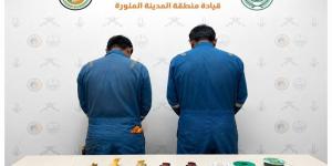 حرس الحدود بينبع يضبط مخالفين لنظام الصيد البحري ويصادر أسماكًا مصيدة