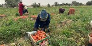 الأغذية
      العالمي:
      مصر
      مؤهلة
      لتصبح
      مركزًا
      إقليميًا
      للأمن
      الغذائي
      بالمنطقة
      العربية