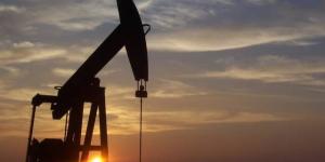 النفط
      يتراجع
      3%
      مع
      إلغاء
      ترامب
      الضربات
      المقررة
      ضد
      إيران