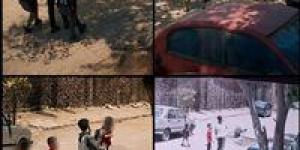 حمل
طفلًا
وألقاه
أرضًا..
ضبط
متهم
بالقاهرة
تبين
معاناته
من
اضطرابات
نفسية