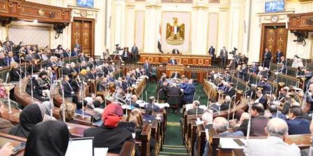 عضو بـ«النواب»: بيان وزراء الخارجية العرب جاء مؤيدا للموقف المصري بشأن القضية الفلسطينية