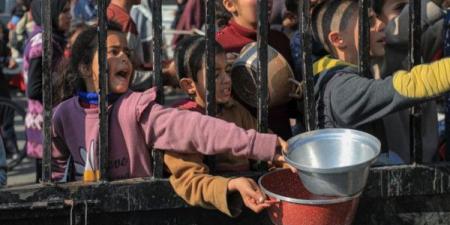 وجهاء وعشائر غزة: القطاع يعيش مجاعة كاملة ونطالب العالم بوقف الإبادة