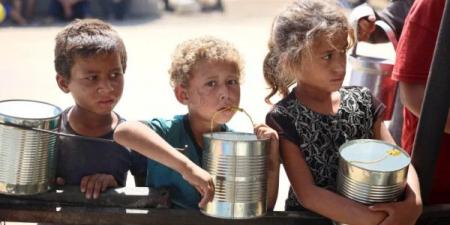 مسؤول إسرائيلي: وقف المساعدات عن غزة كان خطأً فادحاً