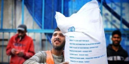 "الأغذية العالمي": استئناف توزيع الطحين على العائلات مباشرة بجميع مناطق قطاع غزة قريباً