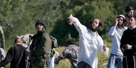 "مقاومة الجدار": 1691 اعتداءً نفذها الجيش ومستوطنوه في أيار