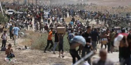 الأمم المتحدة: عمليات القتل في نقاط توزيع المساعدات في غزة ليست عرضية