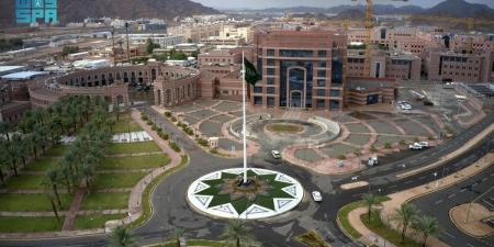 جامعة طيبة تعلن إطلاق 8 تخصصات جديدة