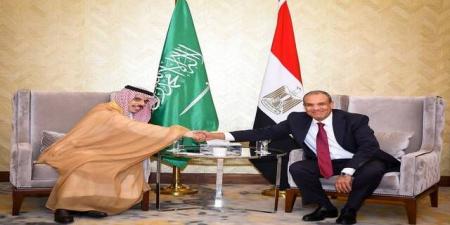 مصر والسعودية: رفض كامل لأي محاولات للإساءة للعلاقات التاريخية بين البلدين