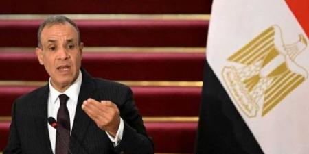مصر تسعى لاستصدار قرار دولي لإنشاء قوة حفظ سلام في غزة