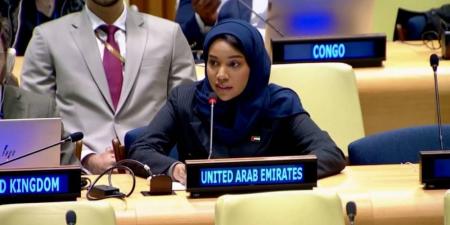 الإمارات: لابد من حماية الأشخاص في ظل التأثير المتزايد للكوارث الطبيعية