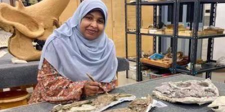 اكتشاف مذهل في صحراء مصر: بقايا تماسيح قديمة تعود إلى عصر الديناصورات