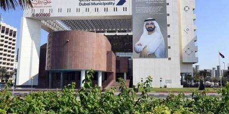 بلدية دبي تحذر من مشاركة معلومات العمل أو بيانات الدفع عبر وسائل غير رسمية