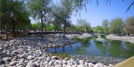 بلدية مدينة العين تطور غابة «وادي الصاروج» لتصبح وجهة ترفيهية متكاملة