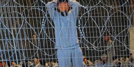 فيديو تعنيف معتقلين فلسطينيين يطيح المدعية العسكرية الإسرائيلية