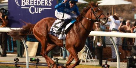 «نوتيبل سبيتش» لجودولفين بطل سباق البريدرز كب للميل