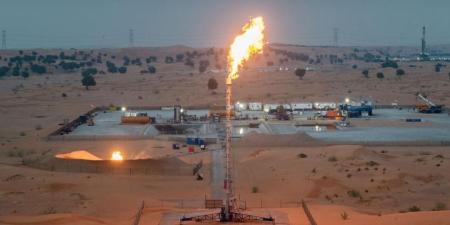 «نفط الشارقة» تعلن إنجاز حفر واختبار البئر الثانية في حقل «هديبة»