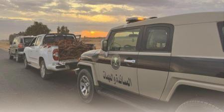 “دوريات المجاهدين” بحائل تضبط مواطناً مخالفاً لنظام البيئة بحوزته حطب محلي