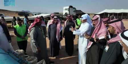 نثر البذور بمزارع حائل