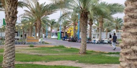 الجوف تتحول من وجهة عابرة إلى اقتصاد سياحي ممتد