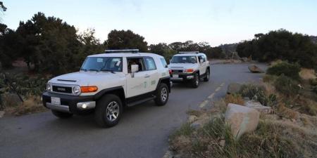 البيئة تحذر من عبور المركبات للمناطق البرية