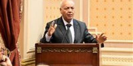 مصطفى
بكري:
الوعي
الشعبي
المصري
خط
الدفاع
الأول
في
مواجهة
مخططات
تصفية
القضية
الفلسطينية