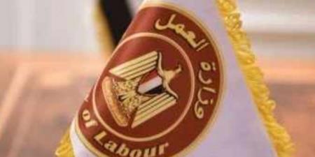 وظائف فى محطة الضبعة بمرتبات تصل لـ40 ألف جنيه.. اعرف التفاصيل