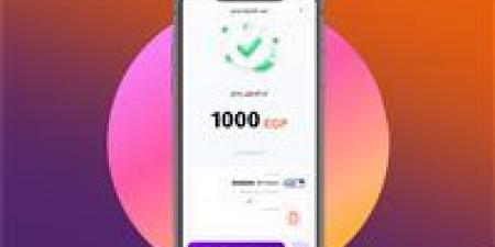 الحد
      الأقصى
      للتحويل
      عبر
      إنستاباي
      ورسوم
      الاستخدام
      بعد
      قرار
      البنك
      المركزي
      الأخير