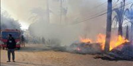 مصرع
      مواطن
      ونفوق
      2000
      كتكوت
      في
      حريق
      مزرعة
      بالشرقية