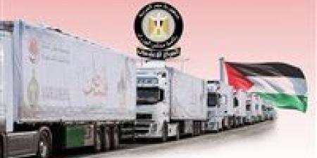 الهلال الأحمر المصري: نجحنا في إدخال نحو 240 ألف طن من مساعدات زاد العزة لغزة