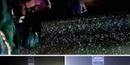 ننشر ضحايا حادث تصادم بطريق المحلة - طنطا