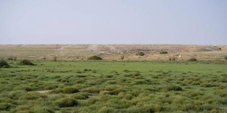 تأهيل 4.7 ملايين هكتار من أراضي الفياض والرياض