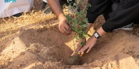 ملتقى للتطوع بالمدينة المنورة