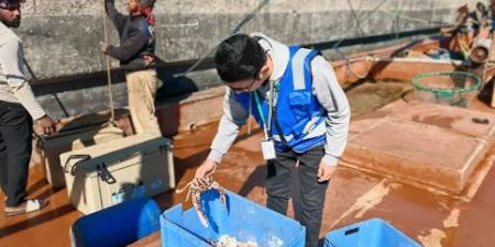 حملة رقابية تستهدف 12 مرفأ صيد بالشرقية لحماية الموارد البحرية