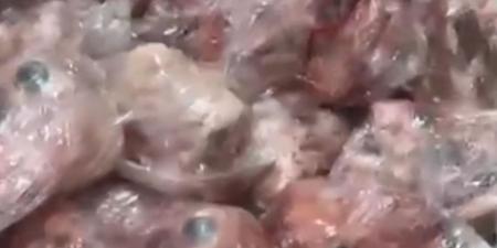 ضبط مستودع لتخزين وترويج لحوم فاسدة وغير صالحة للاستهلاك الآدمي