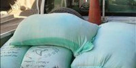 محافظ الفيوم يتابع جهود ضبط الأسواق ومراقبة الأسعار خلال شهر ديسمبر الماضي