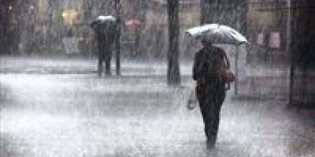 عاجل | موقف تعطيل الدراسة اليوم الخميس في القاهرة والجيزة.. التفاصيل الكاملة